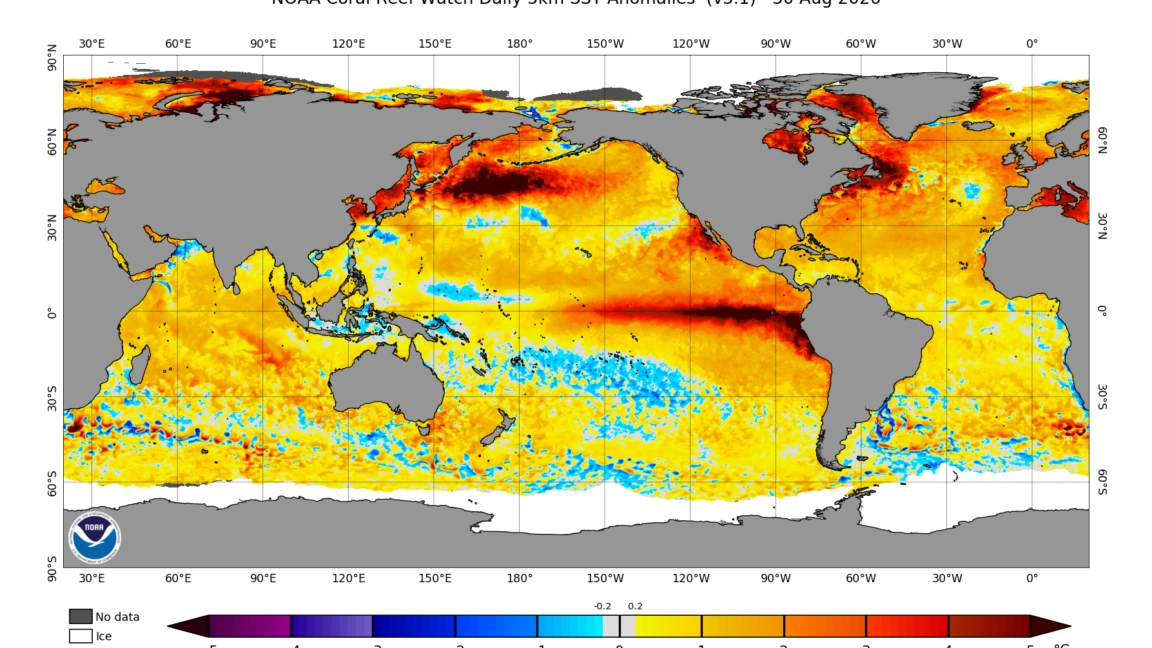 El Niño agora está mais forte do que em qualquer momento dos últimos 1.000 anos, aponta estudo