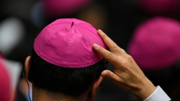 Bispos de recente nomeação conhecem instrumentos de apoio à missão da Igreja universal