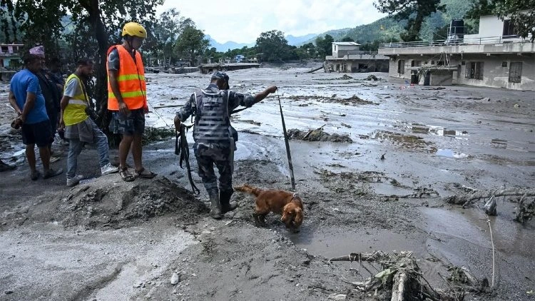 A dor do Papa pelas vítimas da inundação no Nepal