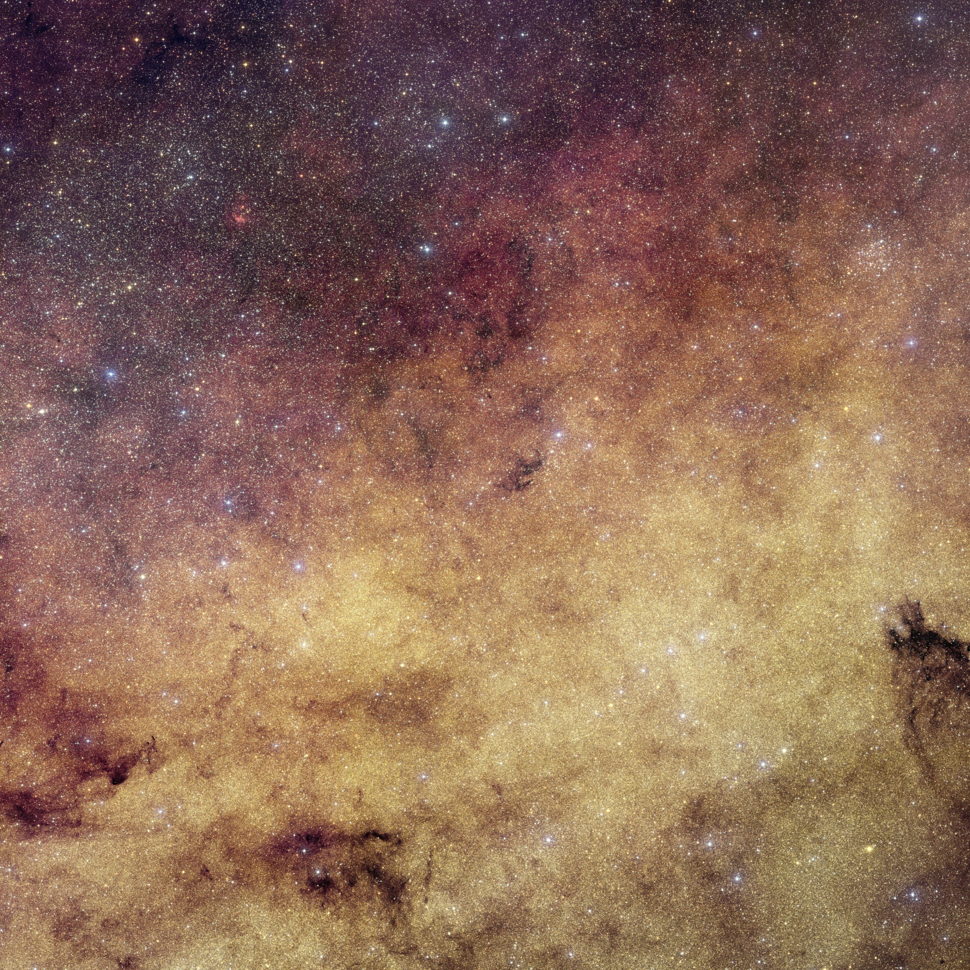 Euclid Sees Heart of Milky Way
