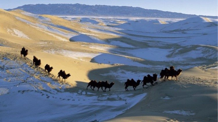 COP17 na Mongólia: desertificação e crise dos pastores