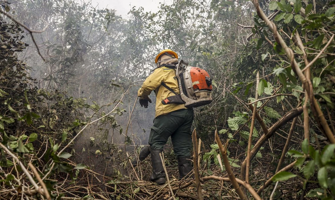 Incêndios no Amazonas resultam de ação humana, diz ministro