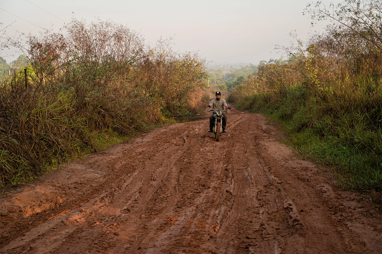 42 km de estrada ilegal desapareceram sob a floresta no Xingu; saiba por que