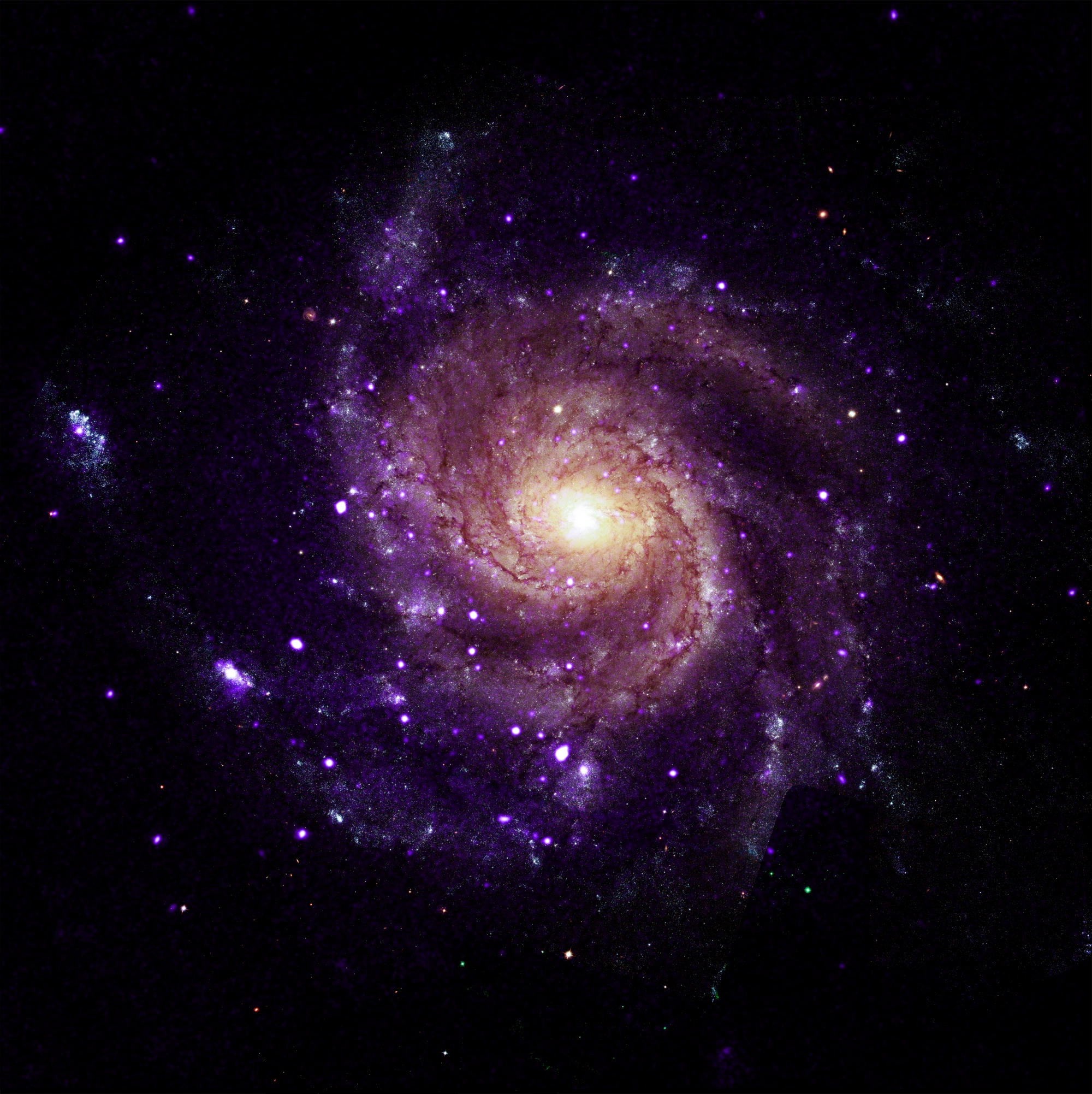 Chandra da NASA encontra objetos incomuns na Galáxia do Cata-vento
