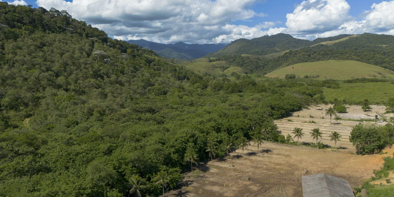 Agricultura avança 11 milhões de hectares em 41 anos na Mata Atlântica